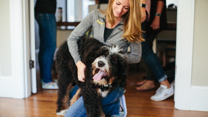 Fuzzy veterinary care pet startups