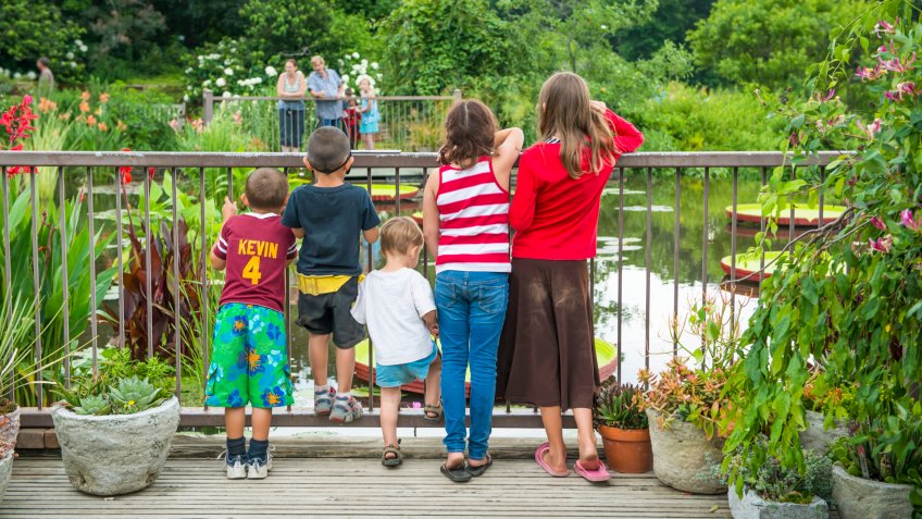 Kingsville, USA- July 3, 2013: Five children looking over and through railing at a pond at Powell Gardens, Missouri.