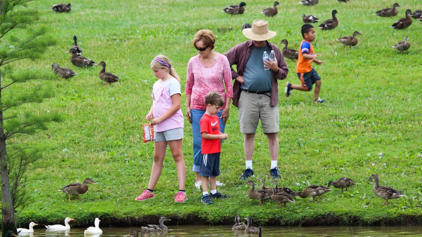 Lexington, Kentucky, United States - June 30, 2015: Family feeding the ducks at Jacobson Park in Lexington, Kentucky.