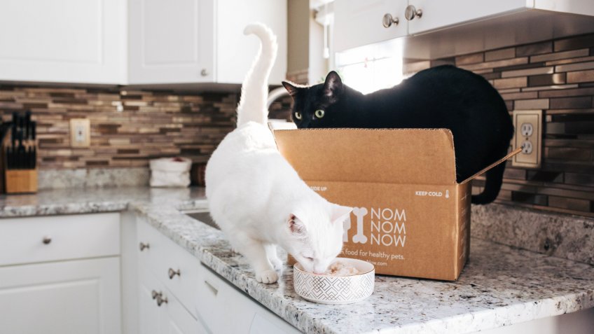 NomNomNow pet food pet startups