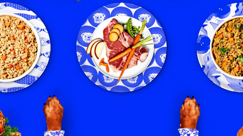 Pet Plate dog food pet startups