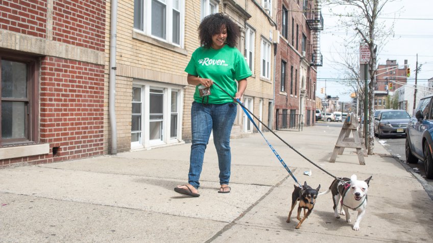 Rover.com dog walking pet startups