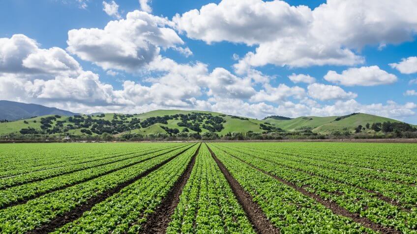 Salinas Valley California