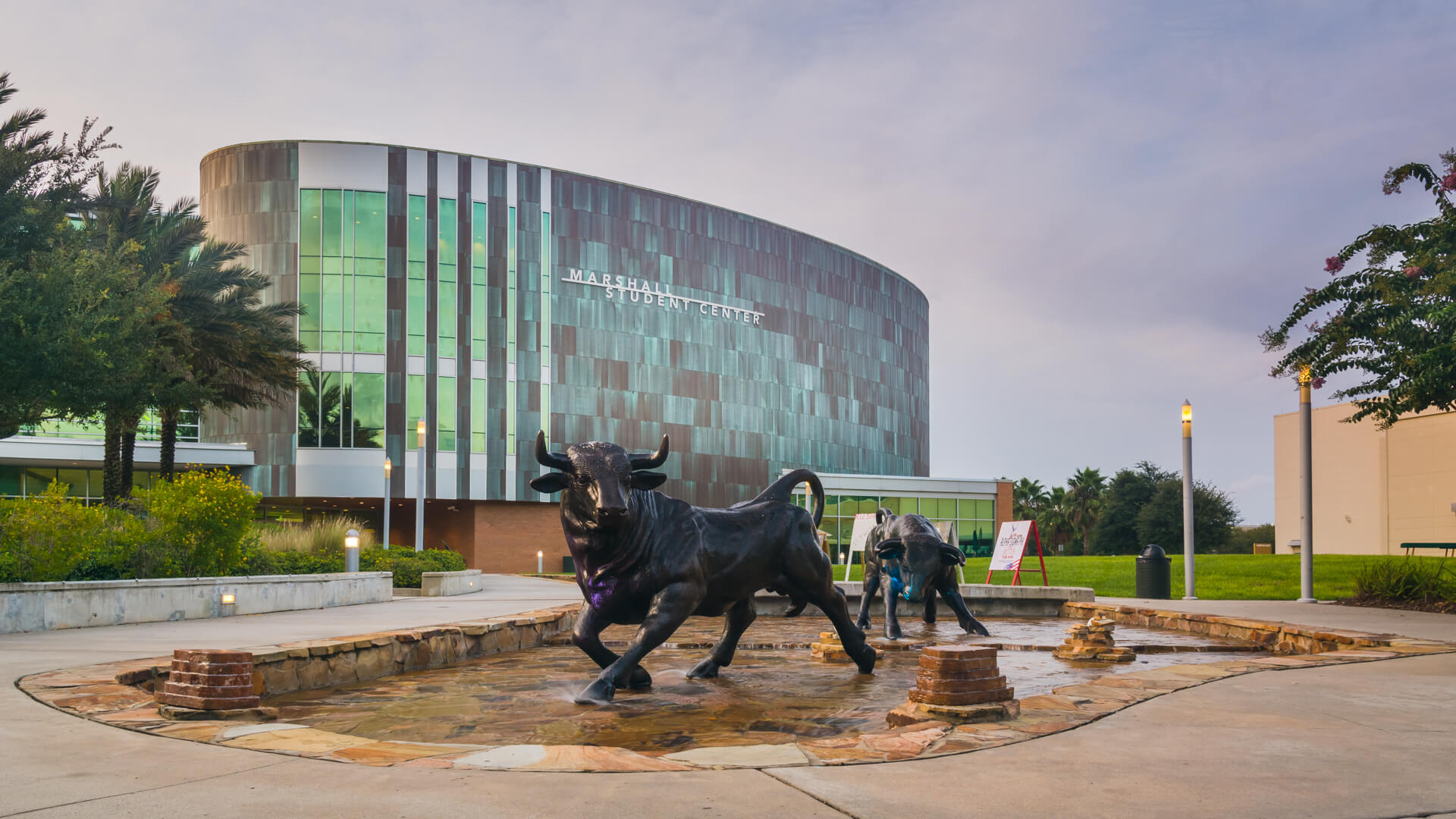 University of South Florida