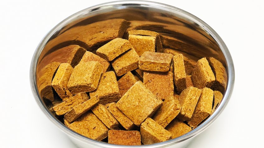Wild Earth dog food pet startups