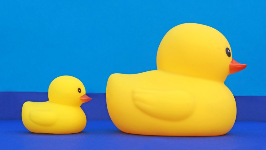 large and small rubber ducks