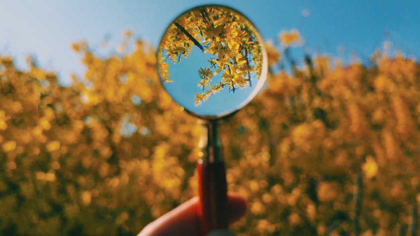 magnifying glass.