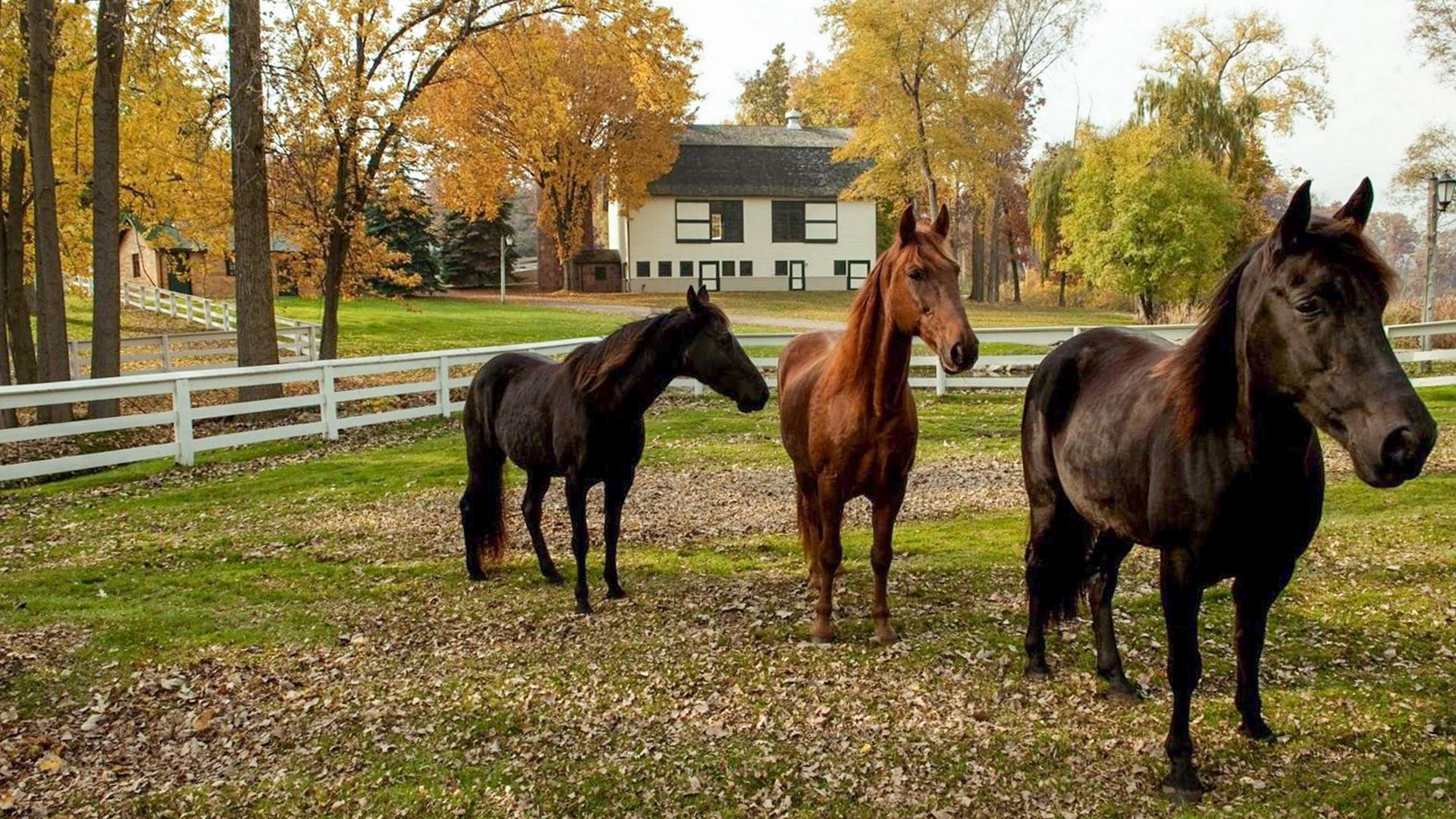 8 Handsome Estates for Horse Lovers GOBankingRates