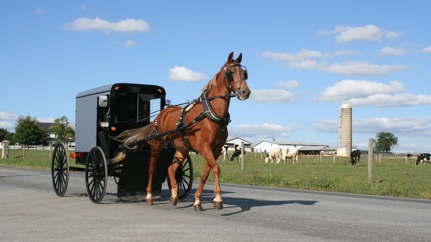 Amish Horse Drawn Carriage in Lancaster County, Pennsylvania
