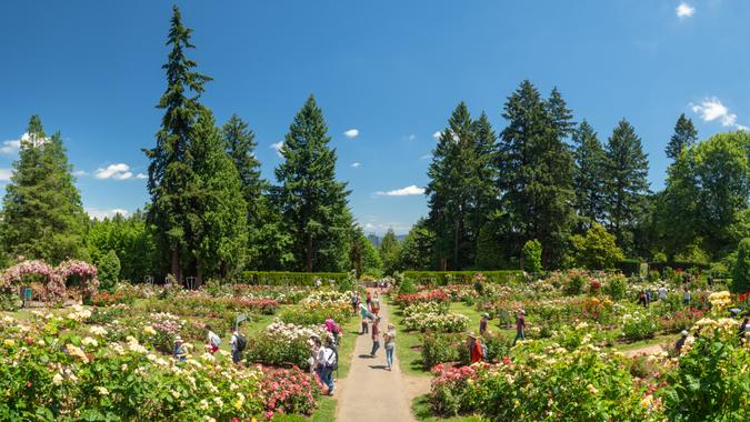 Portland, Oregon, USA - July 2018: International Rose Test Garden.