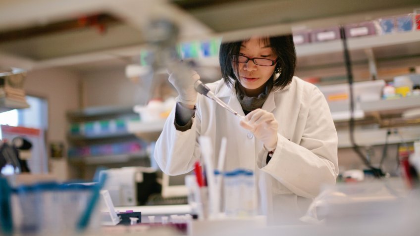 Asian Scientist Pipetting at a Biomedical Laboratory - Image.