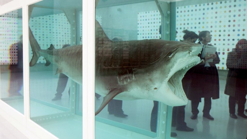 The Famous Work 'The Physical Impossibility of Death in the Mind of Someone Living' (1991/2006) of British Artist Damien Hirst