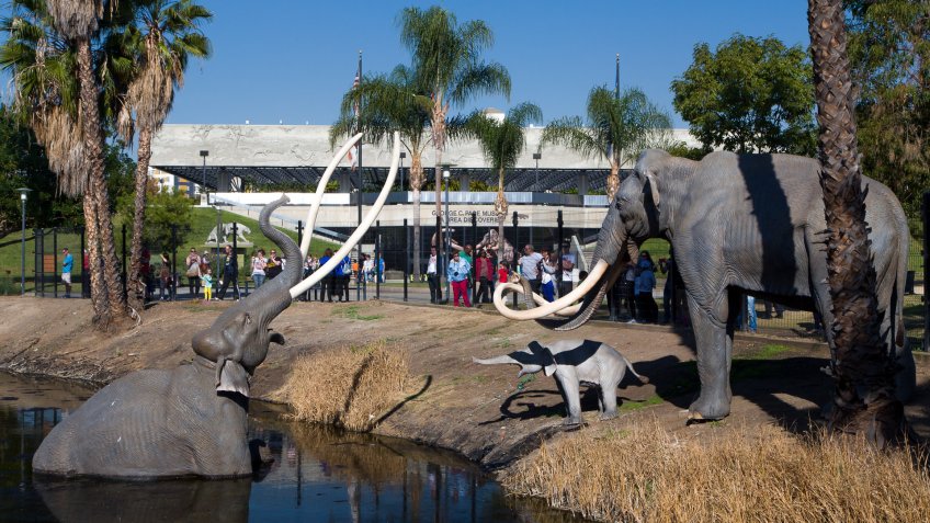 La Brea Tar Pits in Los Angeles California