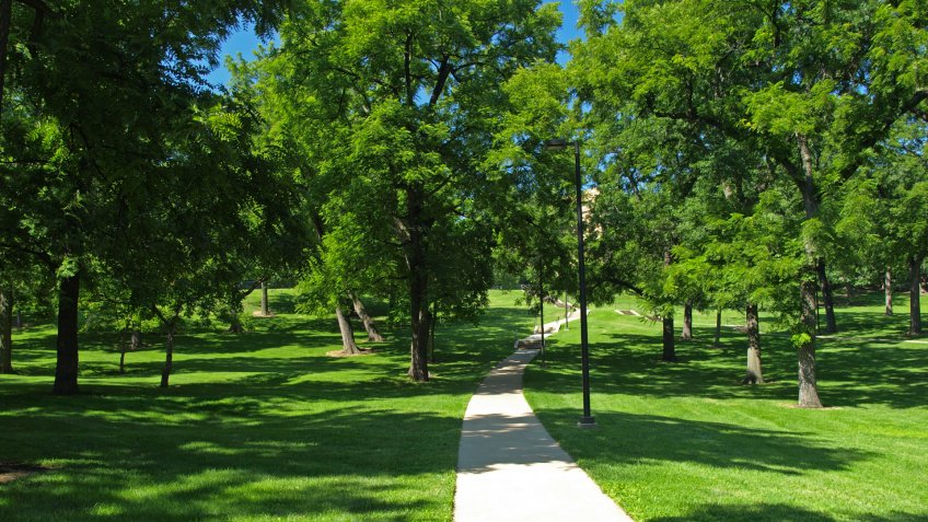 "Path in Marvin Grove on the campus of the University of Kansas, Lawrence, Kansas.