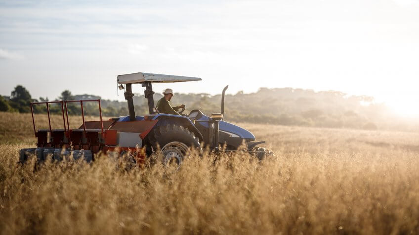 Tractor driver doing the picking.
