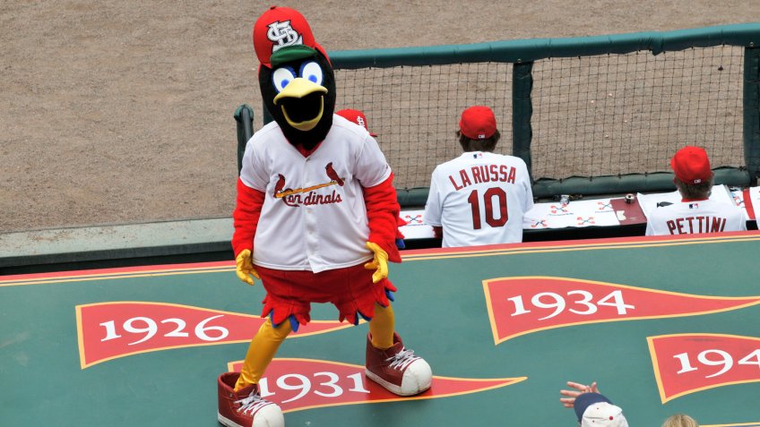 ST LOUIS - MAY 23: Fredbird, the official mascot of the Saint Louis Cardinals at Busch Stadium in St.