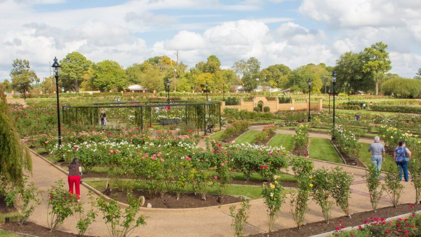 Tyler Texas rose garden