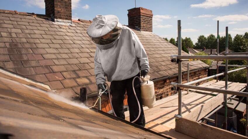 pest control takes care of wasps nest on roofline.