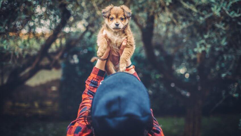 woman holding new puppy