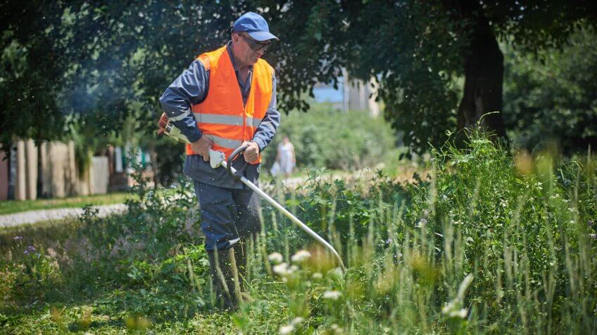 A Gardner trims some grass around a tree.