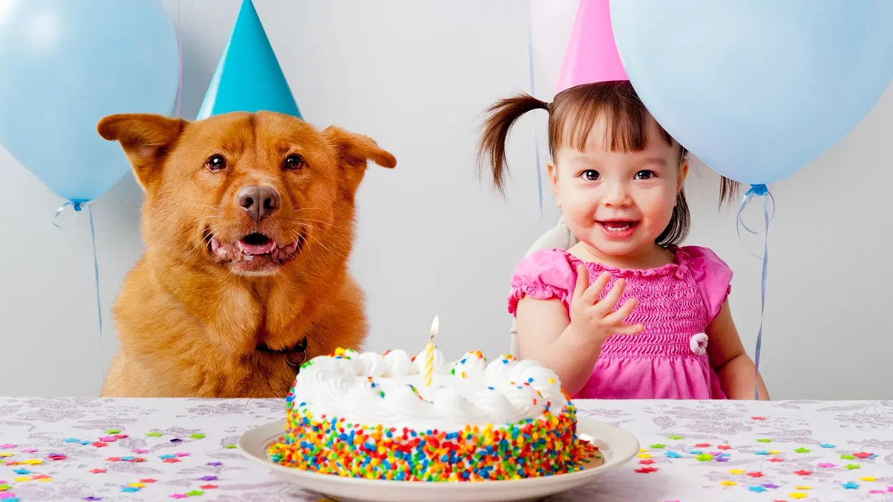 Girl and dog celebrating birthday.