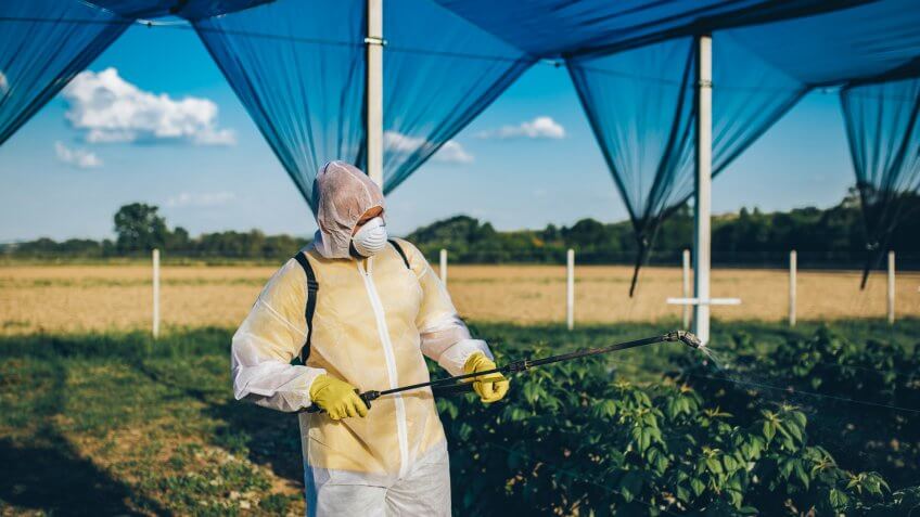 Agricultural worker takes care of his estate.