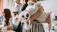 6 Major Companies That Offer Pawternity Leave for Pet Parents