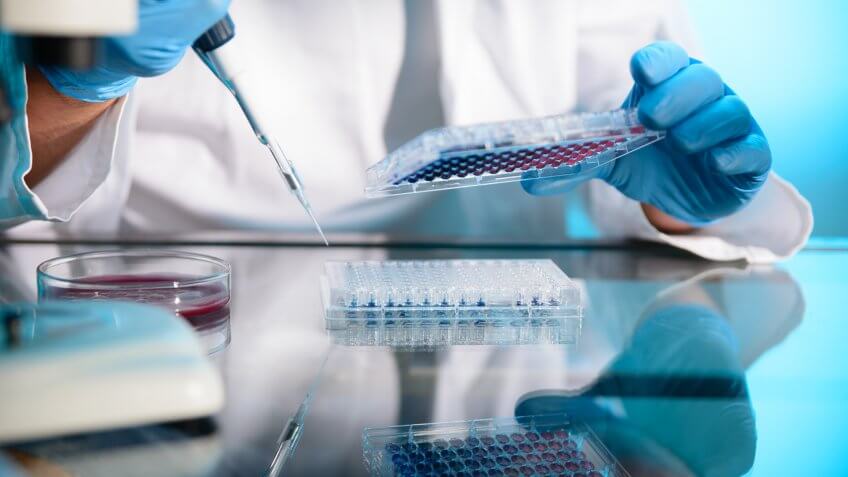 Scientist transferring liquid into microwell plates using a pipette.