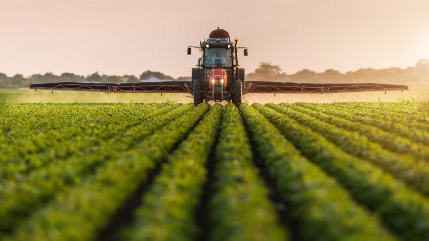 soybean farmer at sunrise