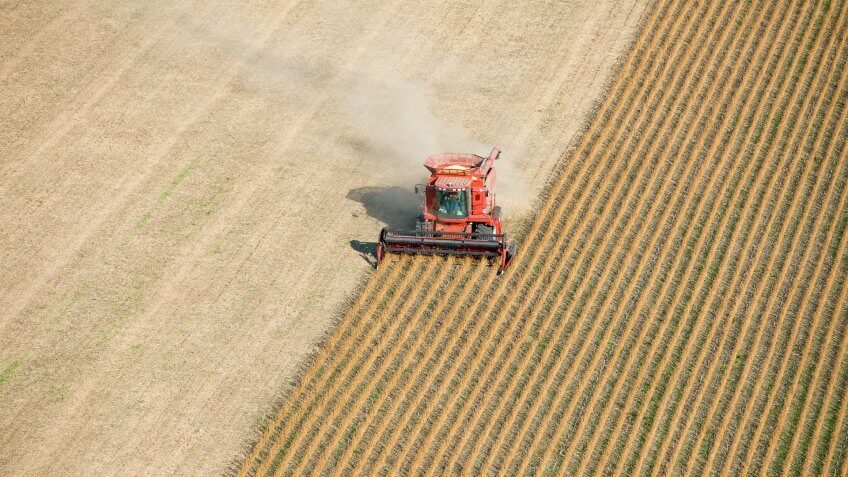 An aerial view of a red combine harvesting a fall soybean field.