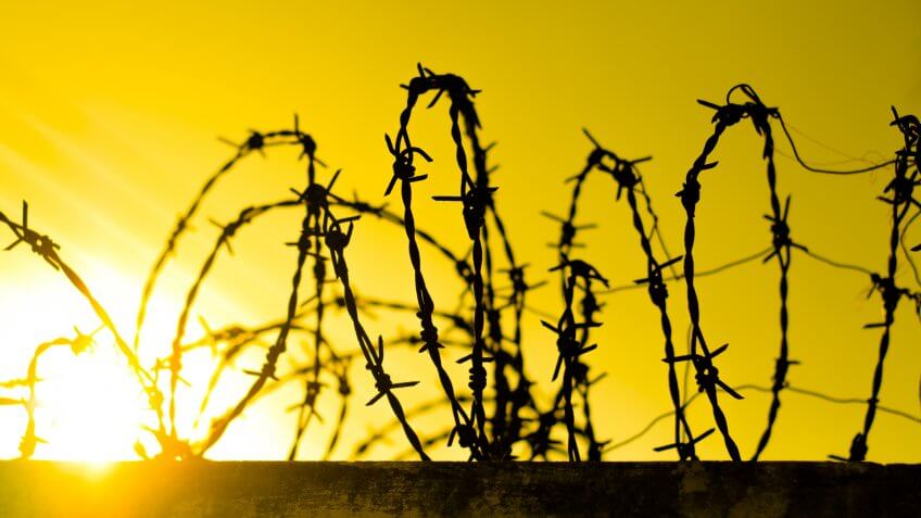 tangled steel barbed wire fence