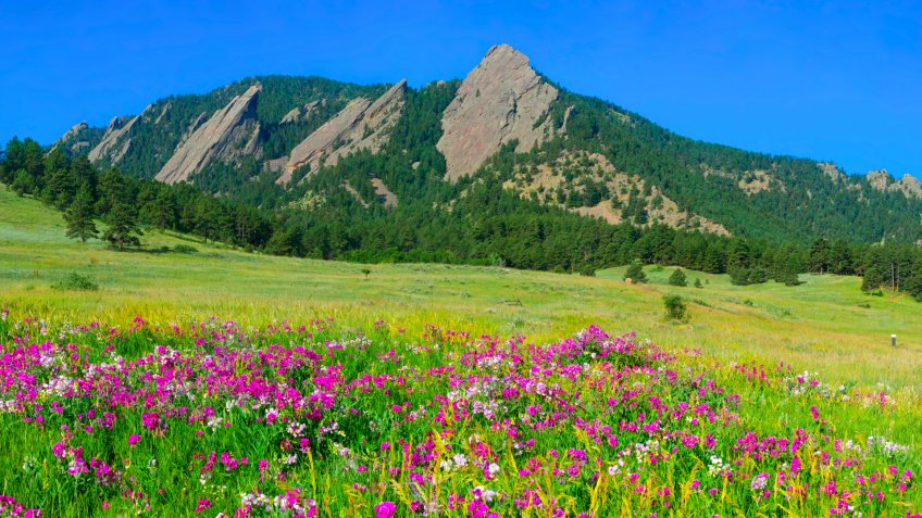 Boulder Colorado Iconic Flatirons with Foreground of Sweet Pea Blossoms - Image.