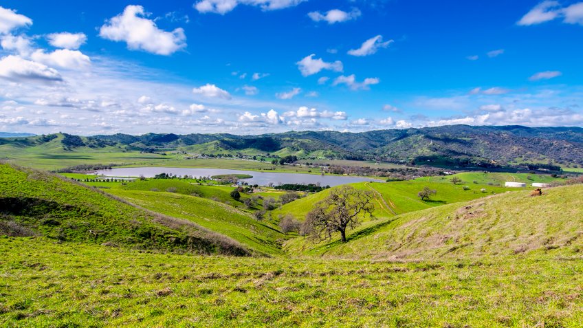 Panoramic view of the Lagoon Valley Park in Vacaville, California, USA, featuring the chaparral in the winter with green grass, and the lake.