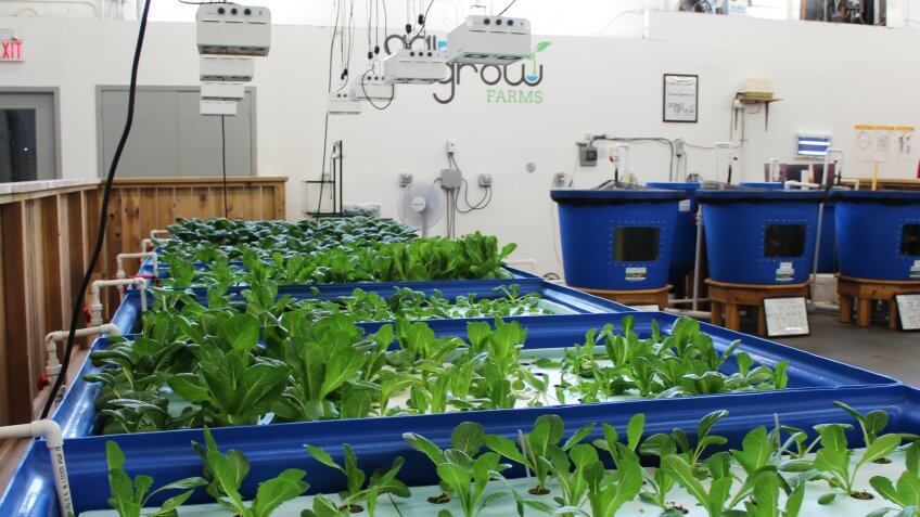 AquaGrow Farms