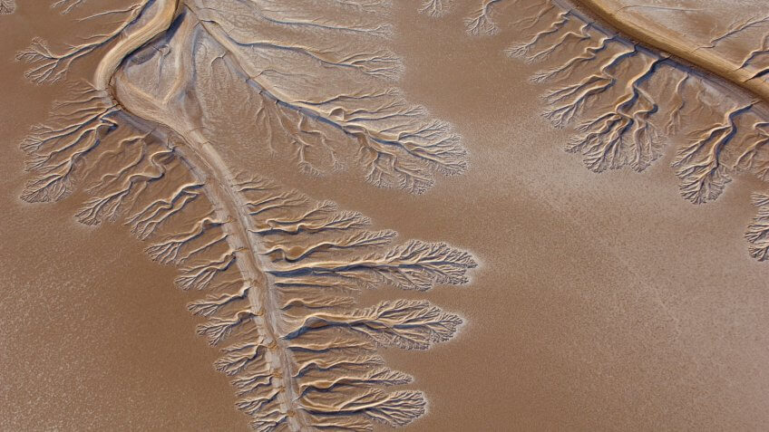 Colorado River Delta