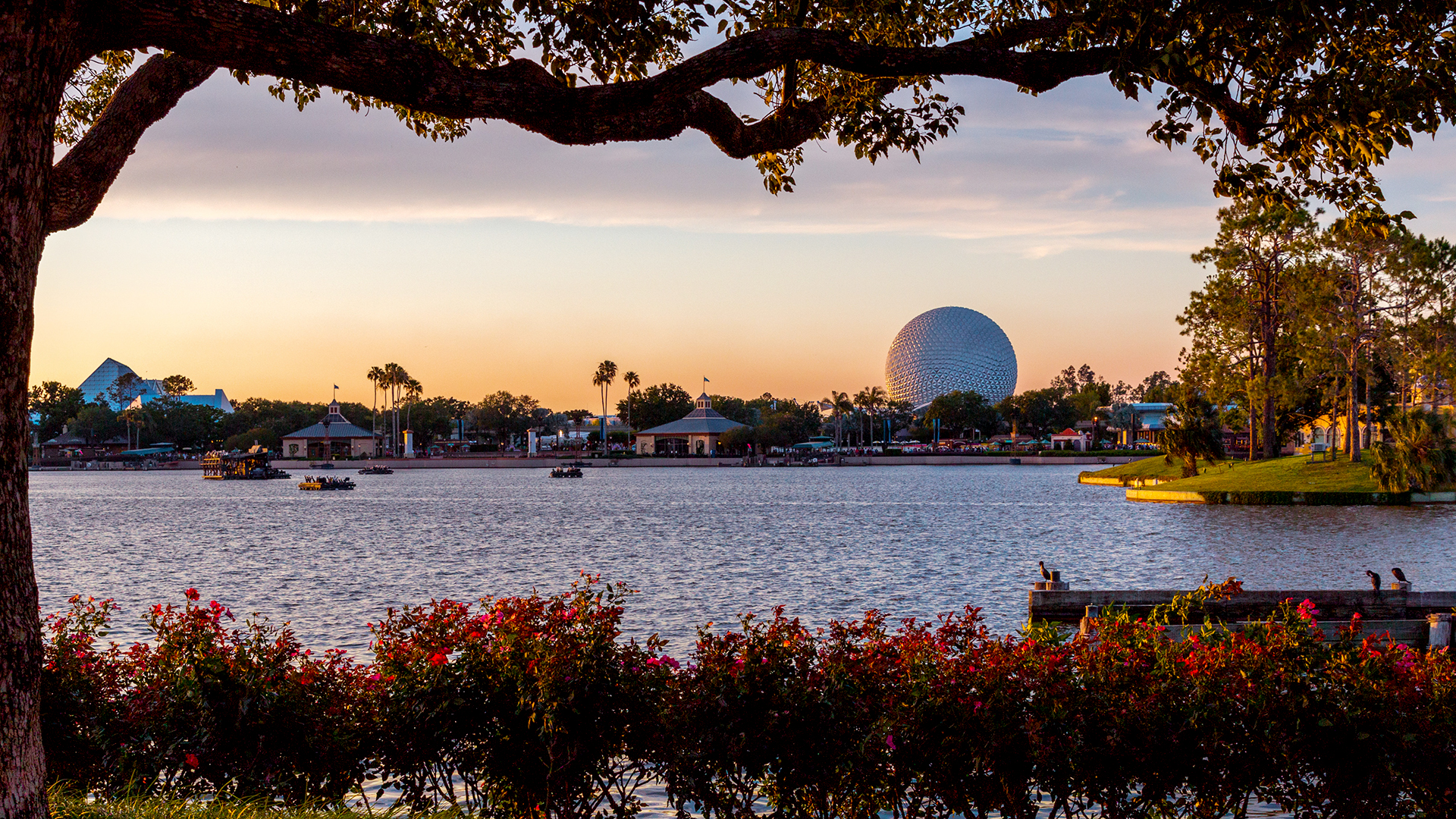 5 Best Affordable Cities To Live Near Disney World