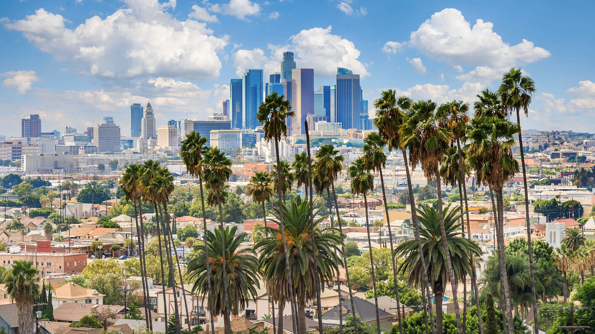 Beautiful cloudy day of Los Angeles downtown skyline and palm trees in foreground.