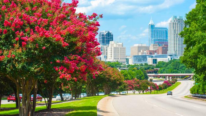 Raleigh skyline in the summer with crepe myrtle trees in bloom - Image.