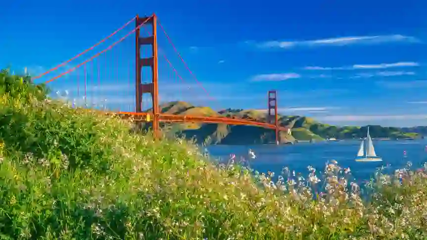 5 Popular US Destinations Where Hotel Prices Are Falling