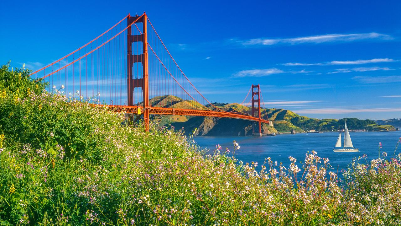 Golden Gate bridge with spring flowers and recreational boat, CA.