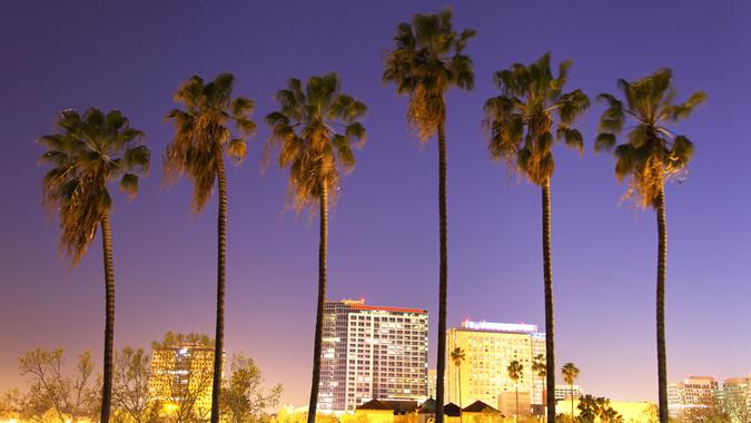Downtown San Jose skyline with palm trees at night.