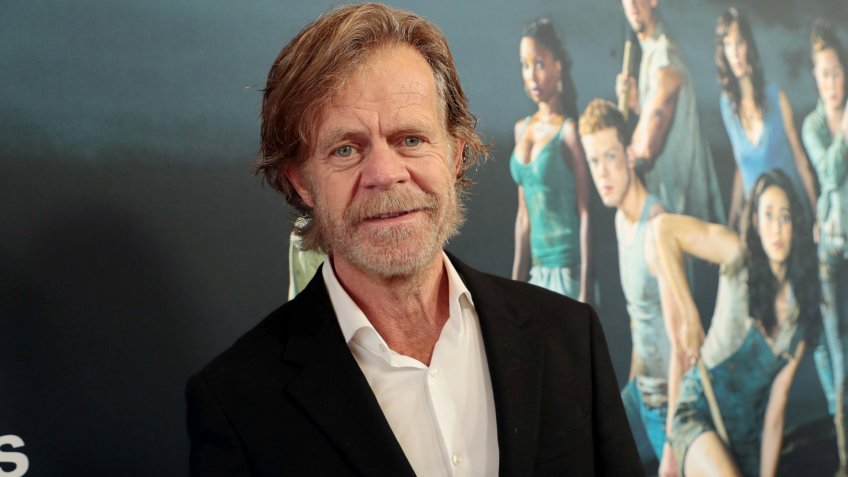 William H. Macy campaign donation