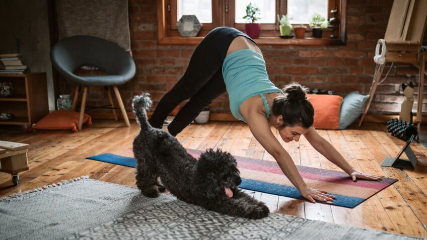 Young woman practicing downward facing dog pose playing with her pet in the living room.