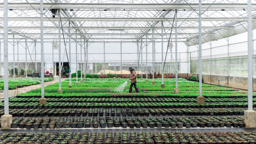 indoor hydropnic farm