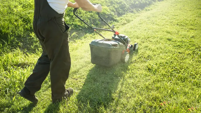 Lawn mower cutting green grass in backyard, garden service.