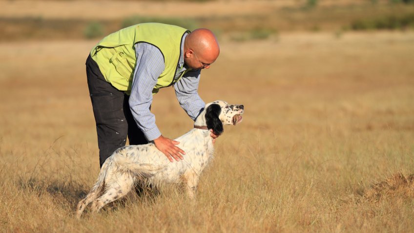 man training a dog