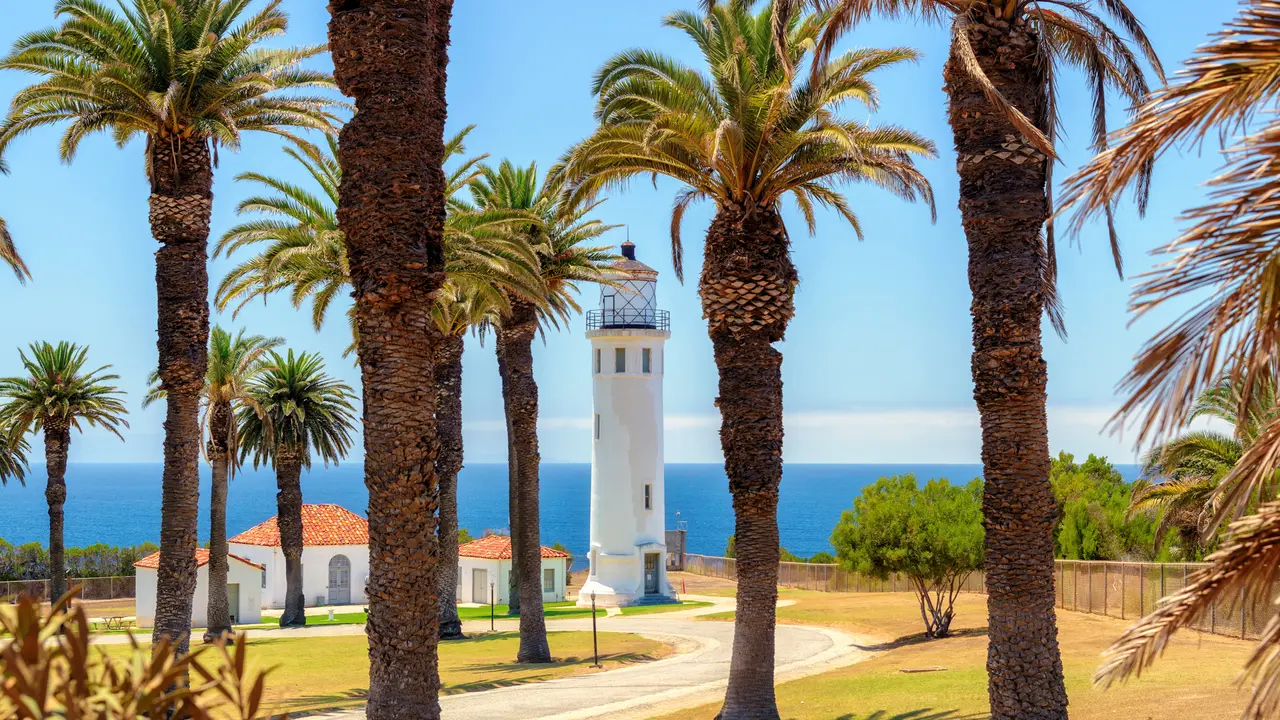 Palm trees around the Point Vicente Lighthouse in Ranchos Palos Verdes, California.