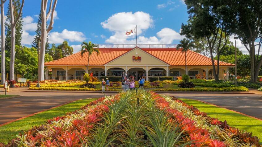 MILILANI, UNITED STATES OF AMERICA - JANUARY 12, 2015: a view of the dole pineapple plantation at mililani in hawaii - Image.