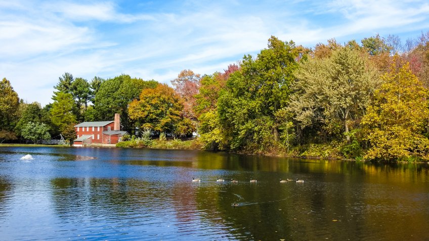 View of Serene Coopers Pond - October 28, 2017.