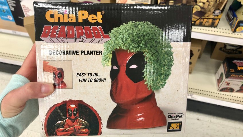 Minneapolis, MN - April 8 2019: Female shopper's hand holds up a Deadpool Character Chia Pet plant in a retail store.